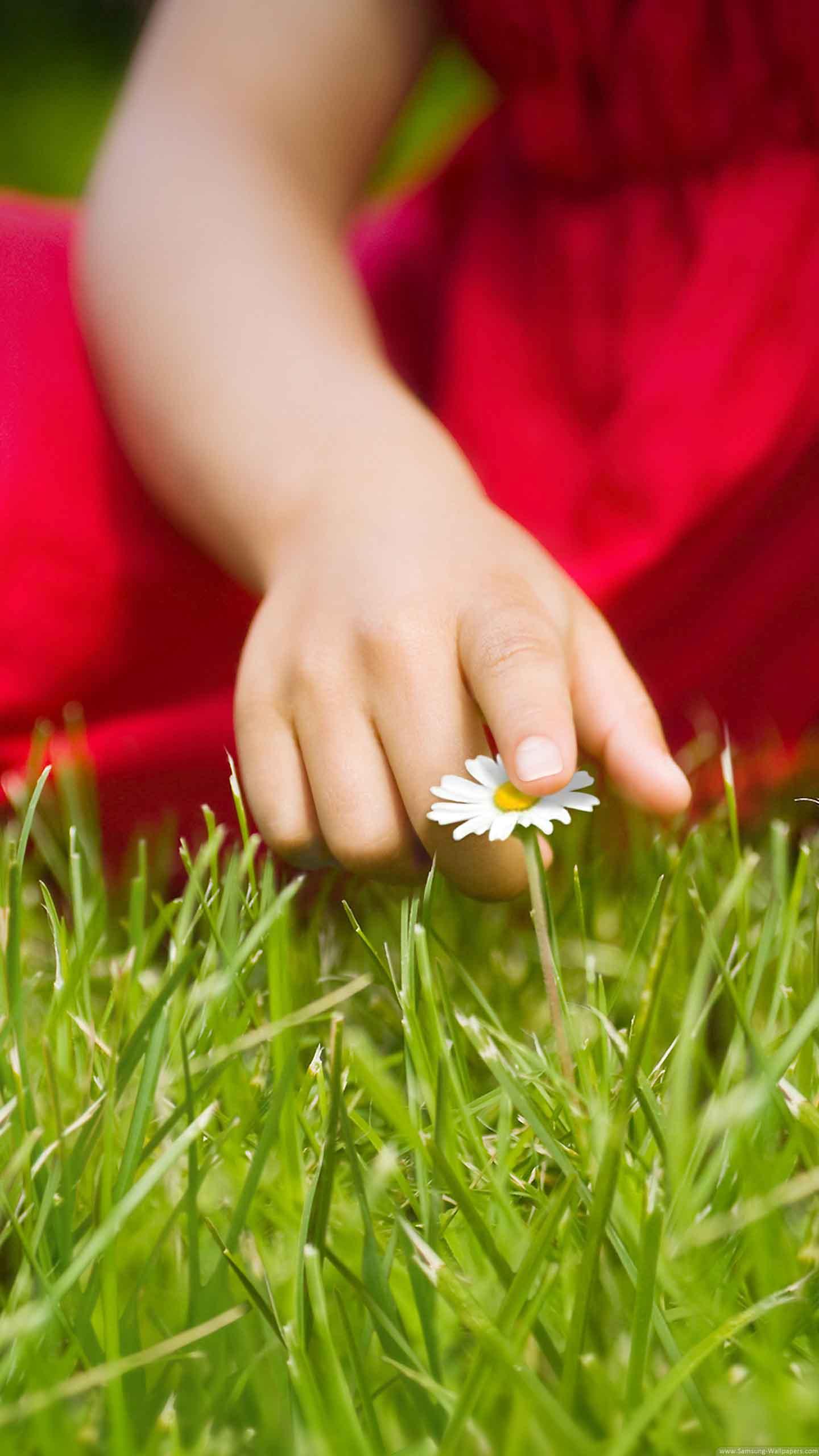 live sperrbildschirm hintergrundbild,gras,hand,nagel,wiese,rasen