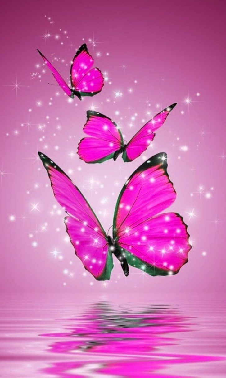 glitter live wallpaper,la farfalla,rosa,insetto,viola,viola