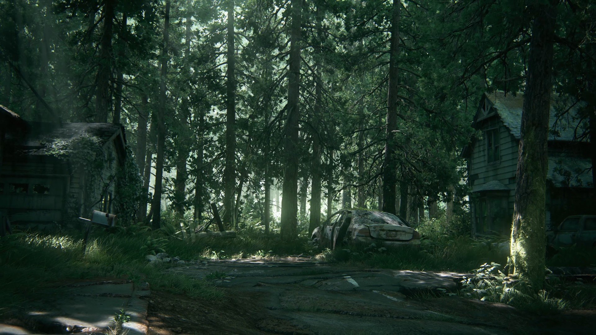 the last of us wallpaper,nature,forest,woodland,natural environment,tree