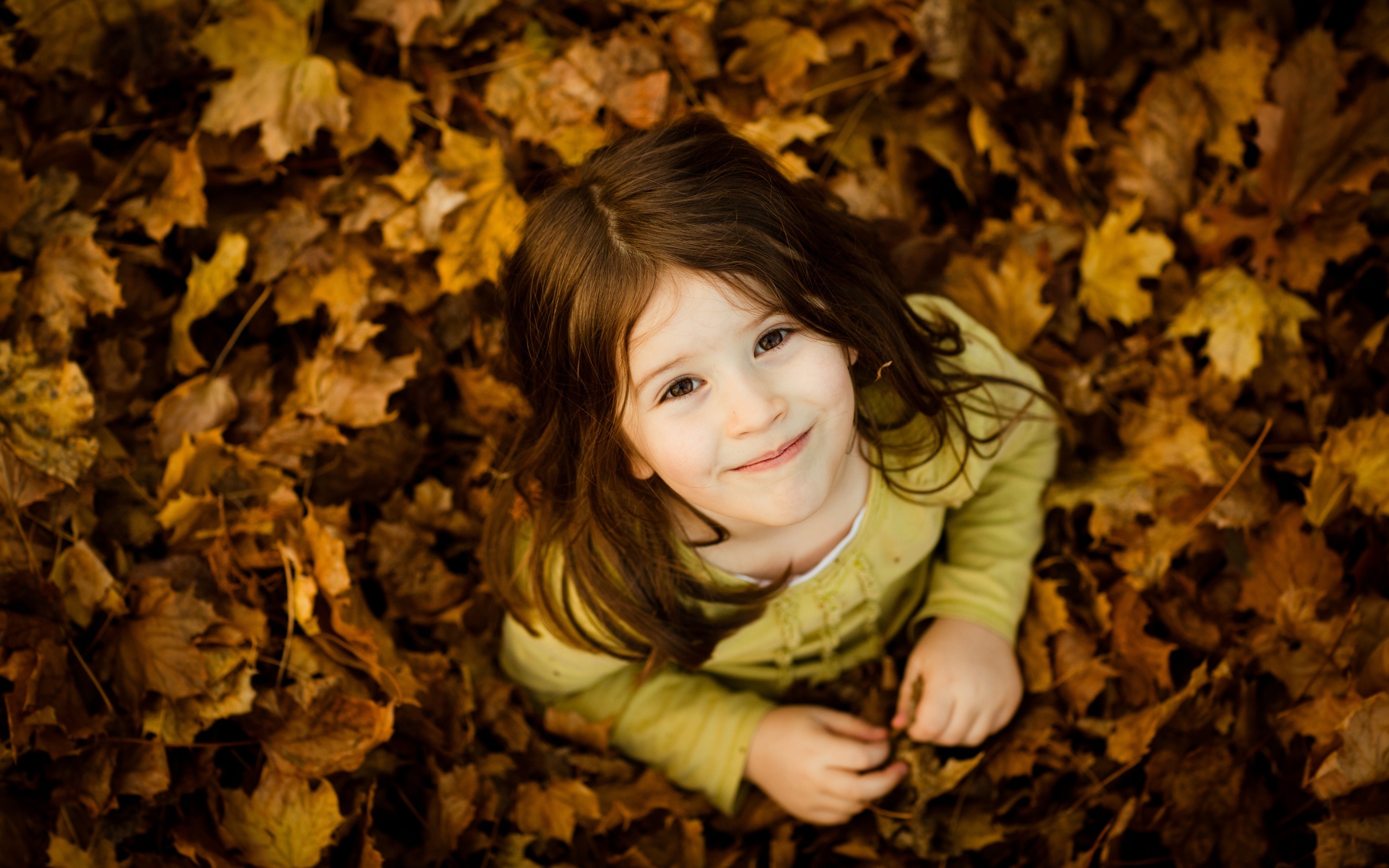 아기 사진 배경 화면,잎,노랑,아름다움,가을,초상화