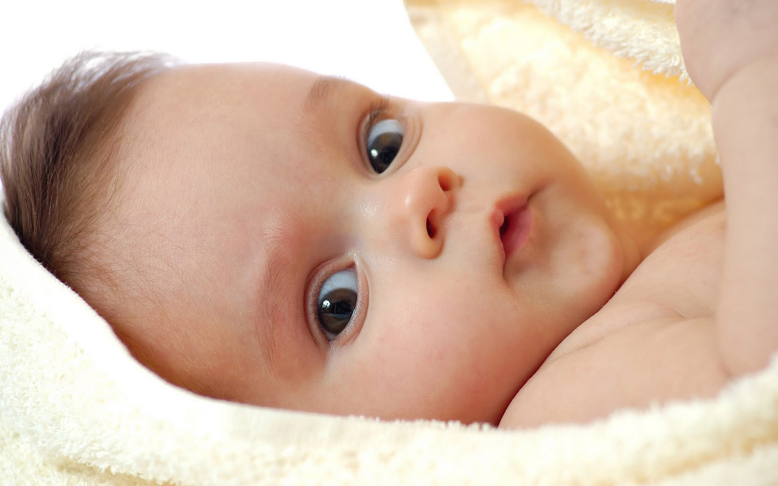 baby photos wallpapers,child,baby,face,skin,nose