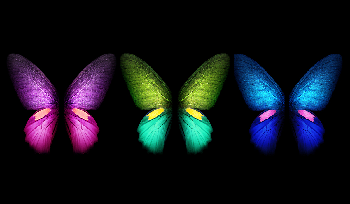 fondo de pantalla de samsung,azul,mariposa,púrpura,insecto,ala