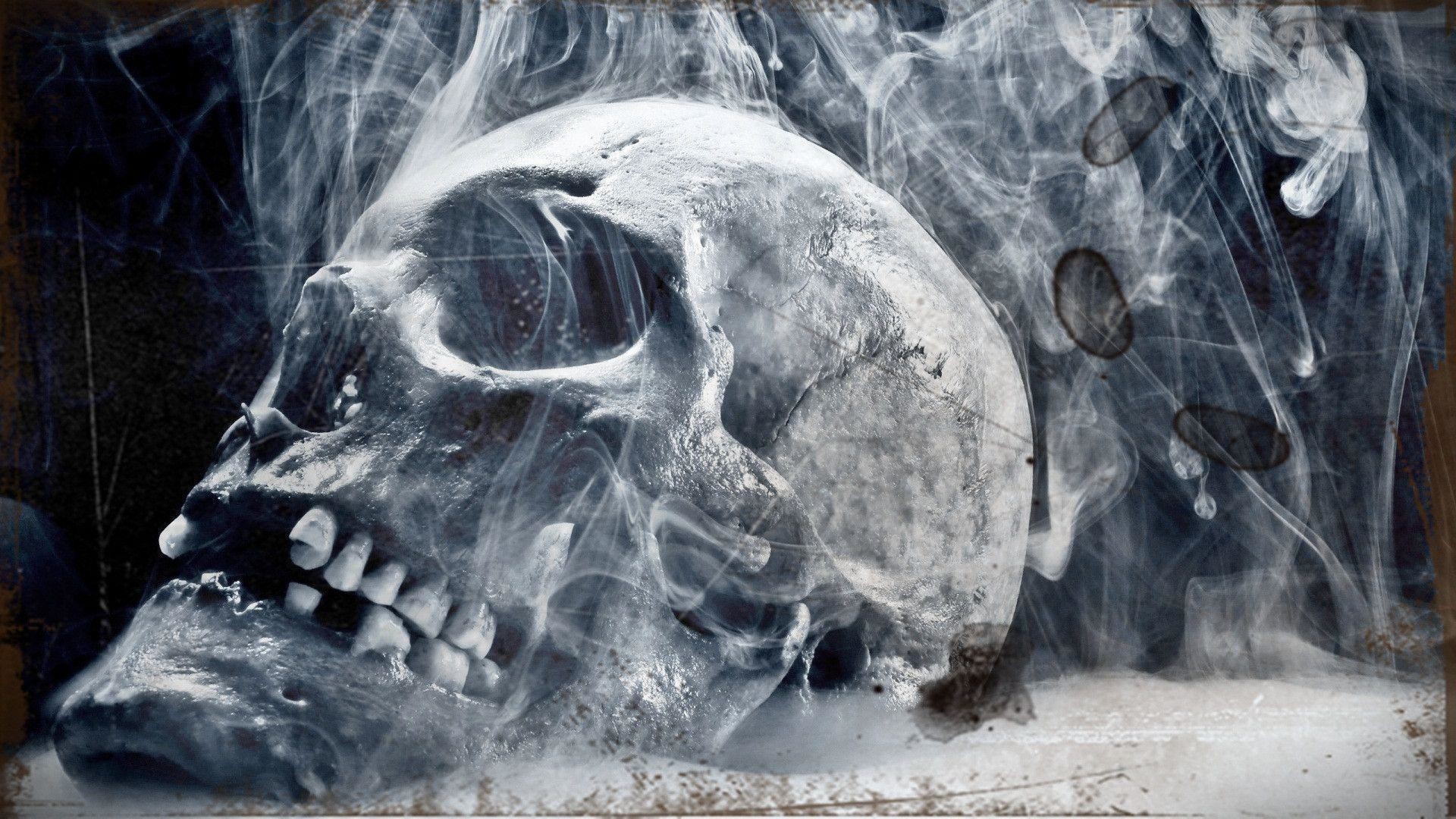 full hd 3d wallpapers 1920x1080,skull,bone,jaw,organism,stock photography