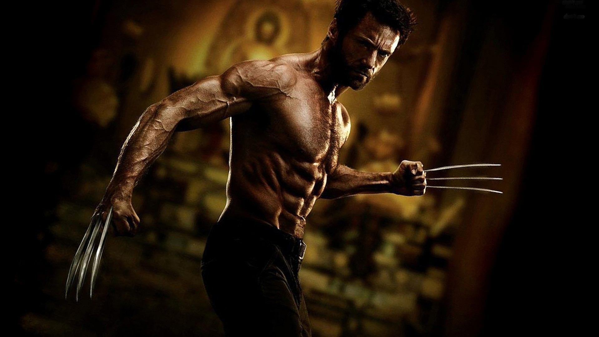 wolverine wallpaper,glotón,humano,culturismo,personaje de ficción,fotografía