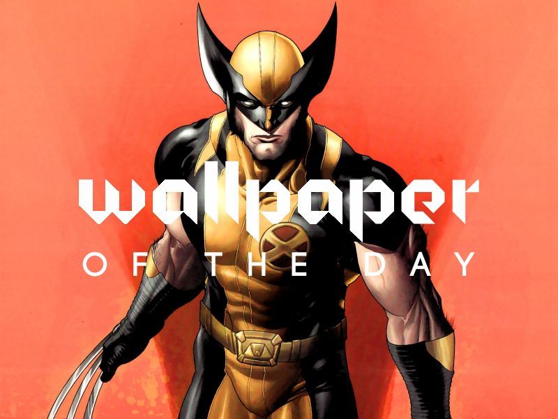 wolverine wallpaper,fictional character,superhero,action figure,wolverine,hero