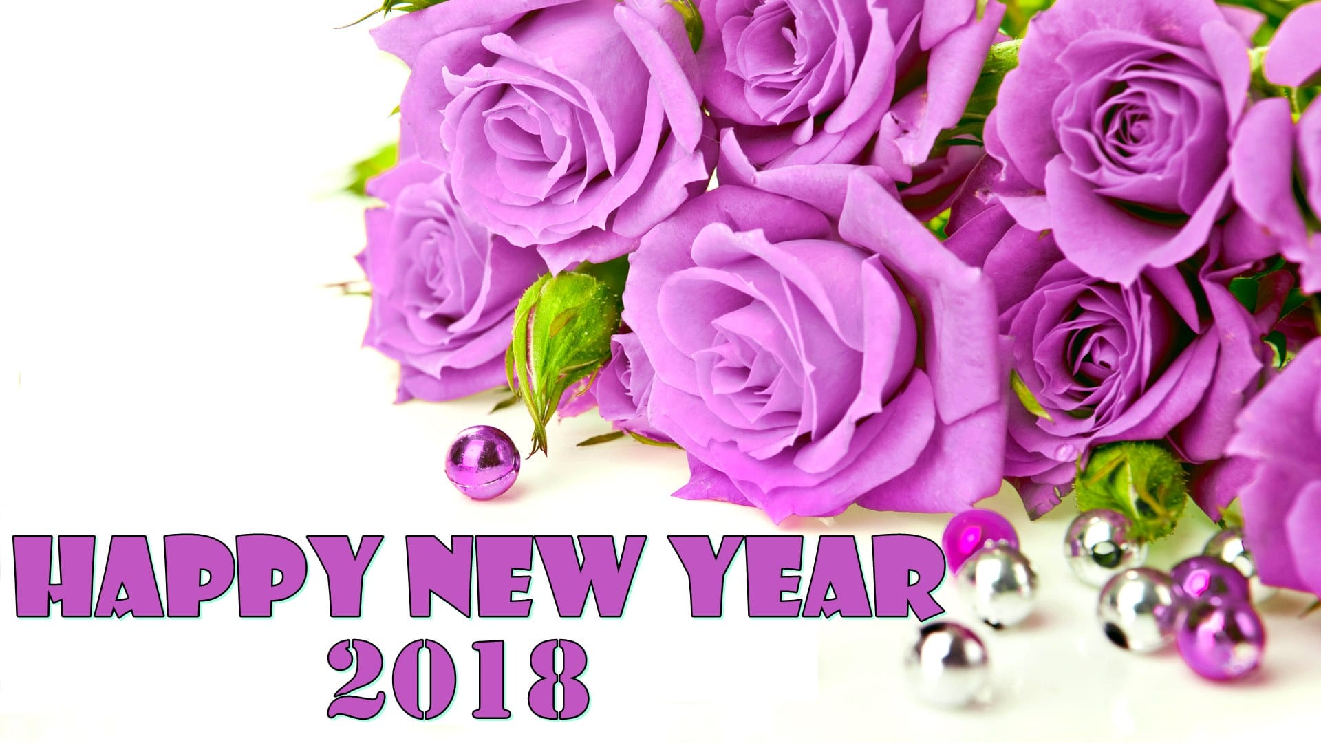 happy new year 2018 wallpapers,cut flowers,flower,purple,pink,garden roses