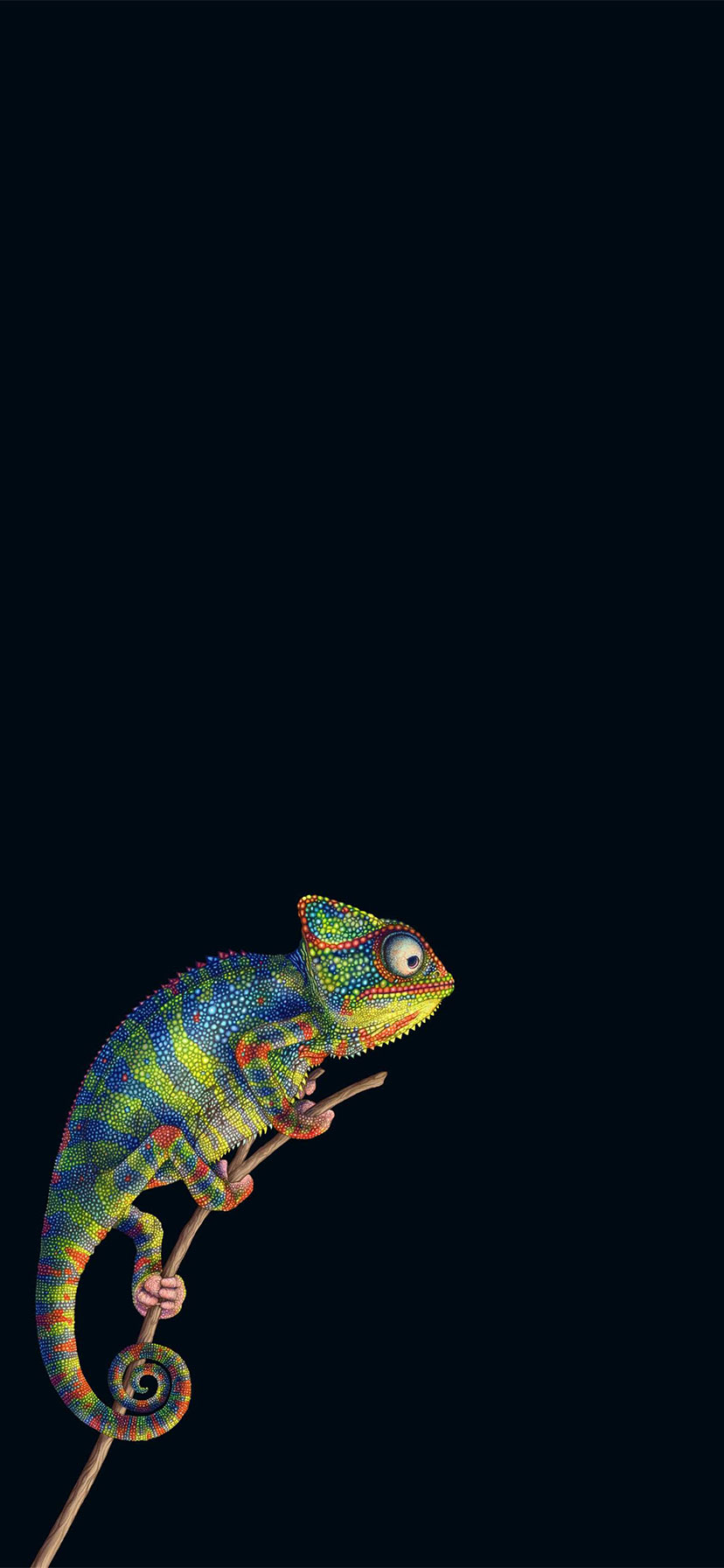 ios 11 wallpaper,chameleon,lizard,reptile,common chameleon,scaled reptile