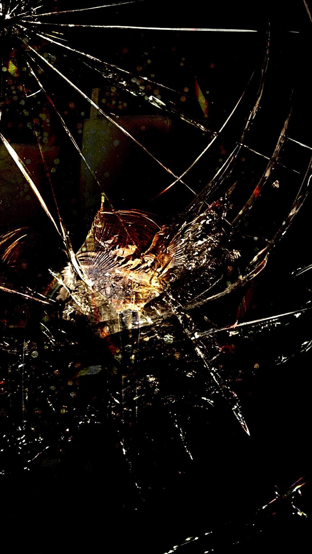 broken screen wallpaper,spider web,water,darkness,spider,close up