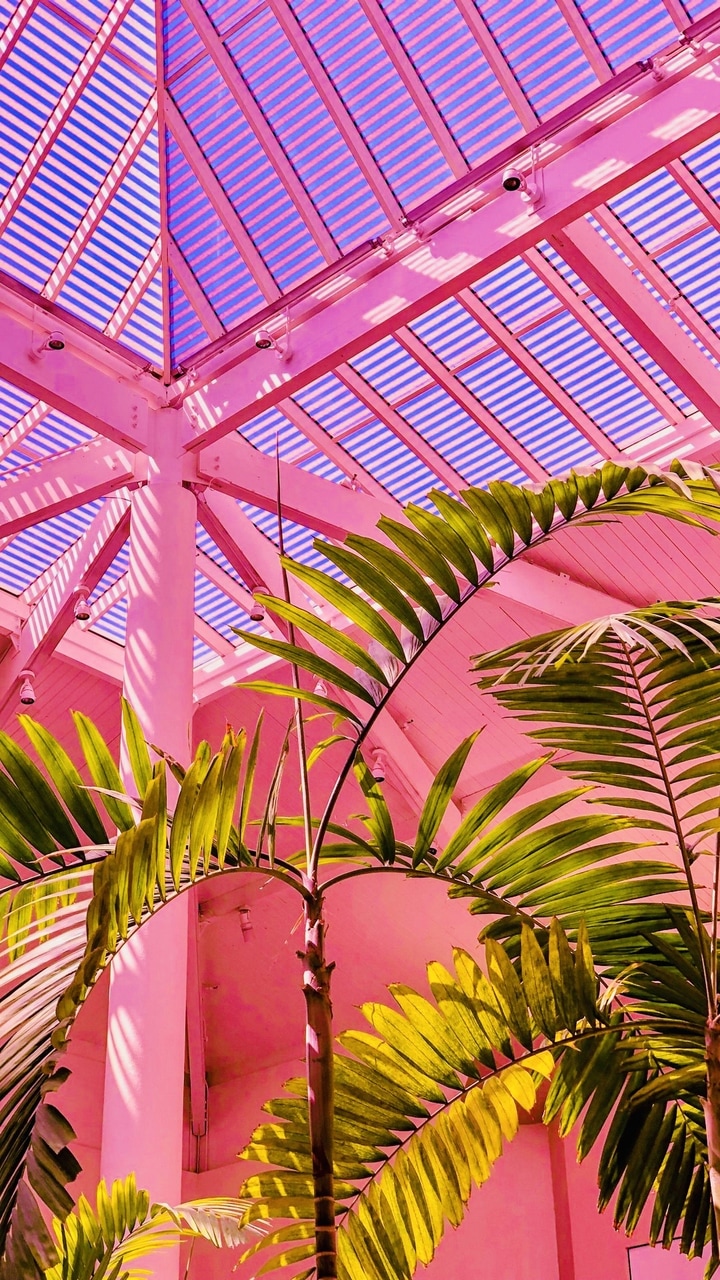 papel pintado vaporwave,rosado,árbol,planta,arquitectura,planta leñosa
