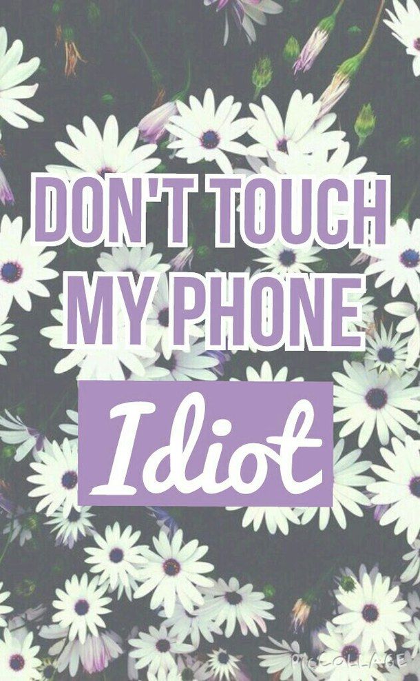 don t touch my phone wallpaper,text,font,flower,plant,wildflower