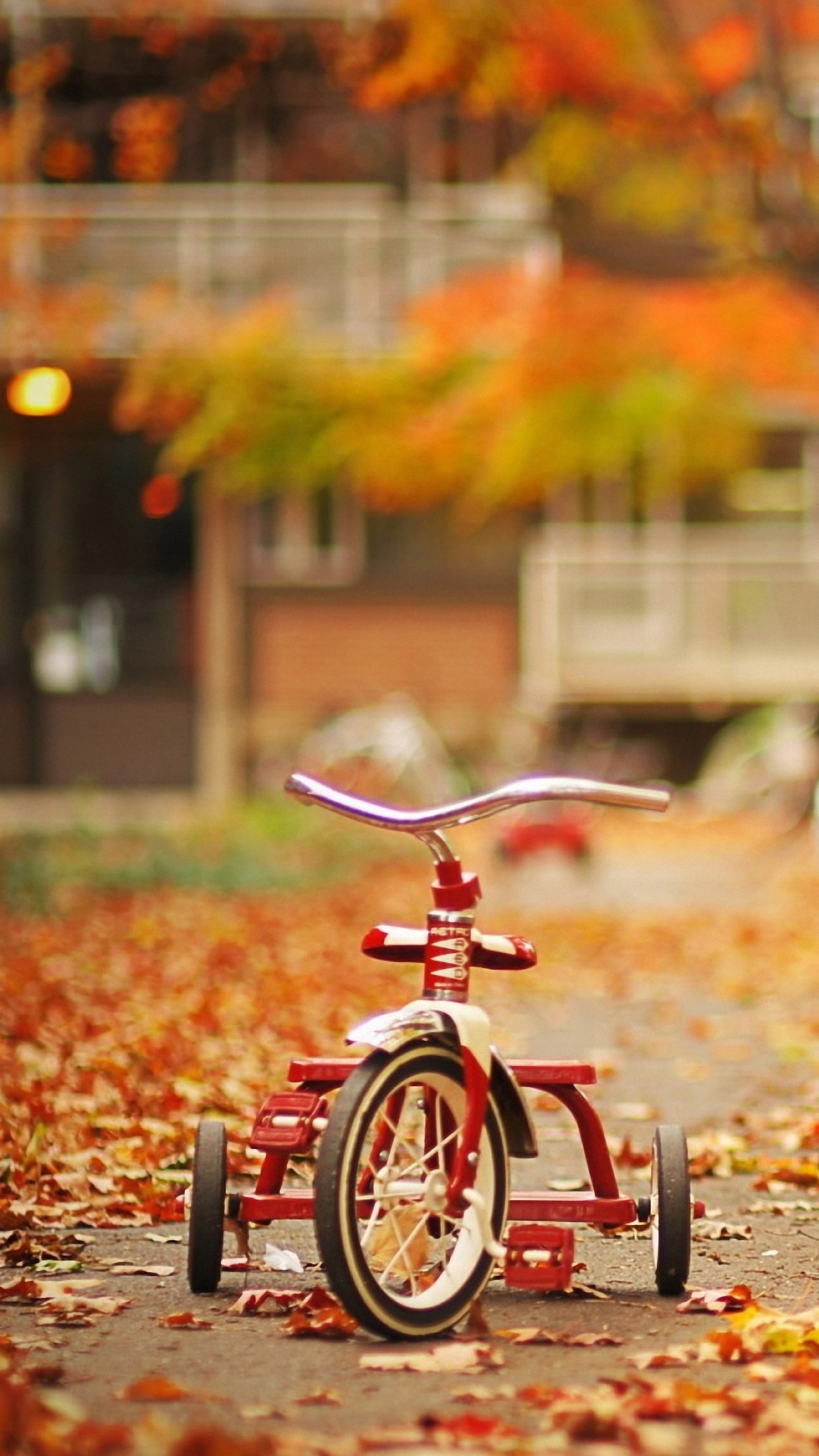mobile wallpapers hd for samsung,bicycle,vehicle,bicycle wheel,orange,autumn