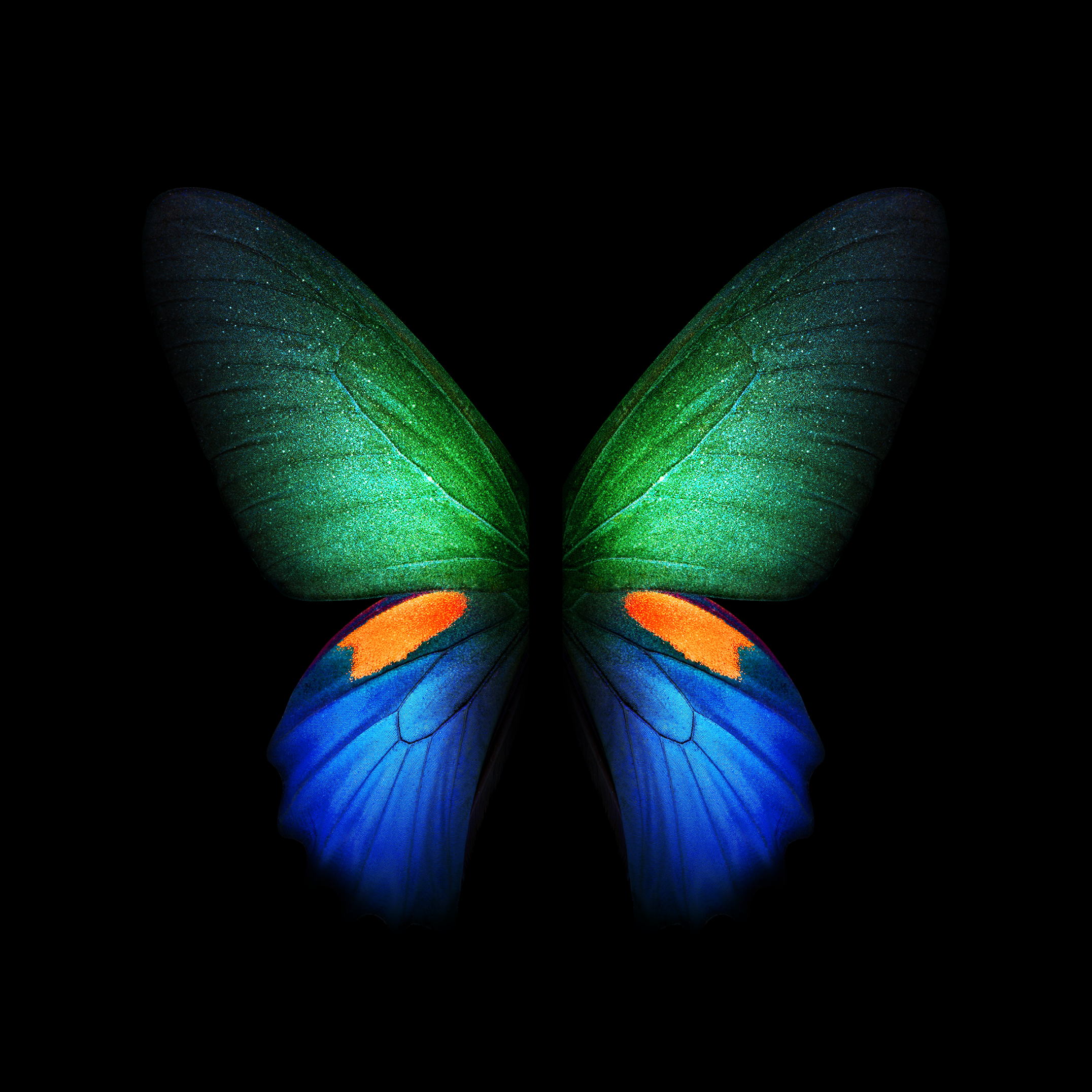 mobile wallpapers hd for samsung,butterfly,insect,moths and butterflies,blue,symmetry