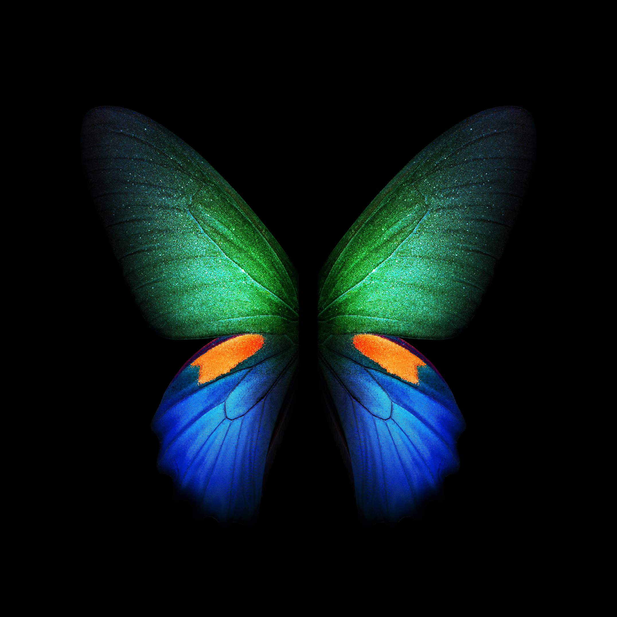 handy wallpaper hd für samsung,schmetterling,insekt,motten und schmetterlinge,blau,symmetrie