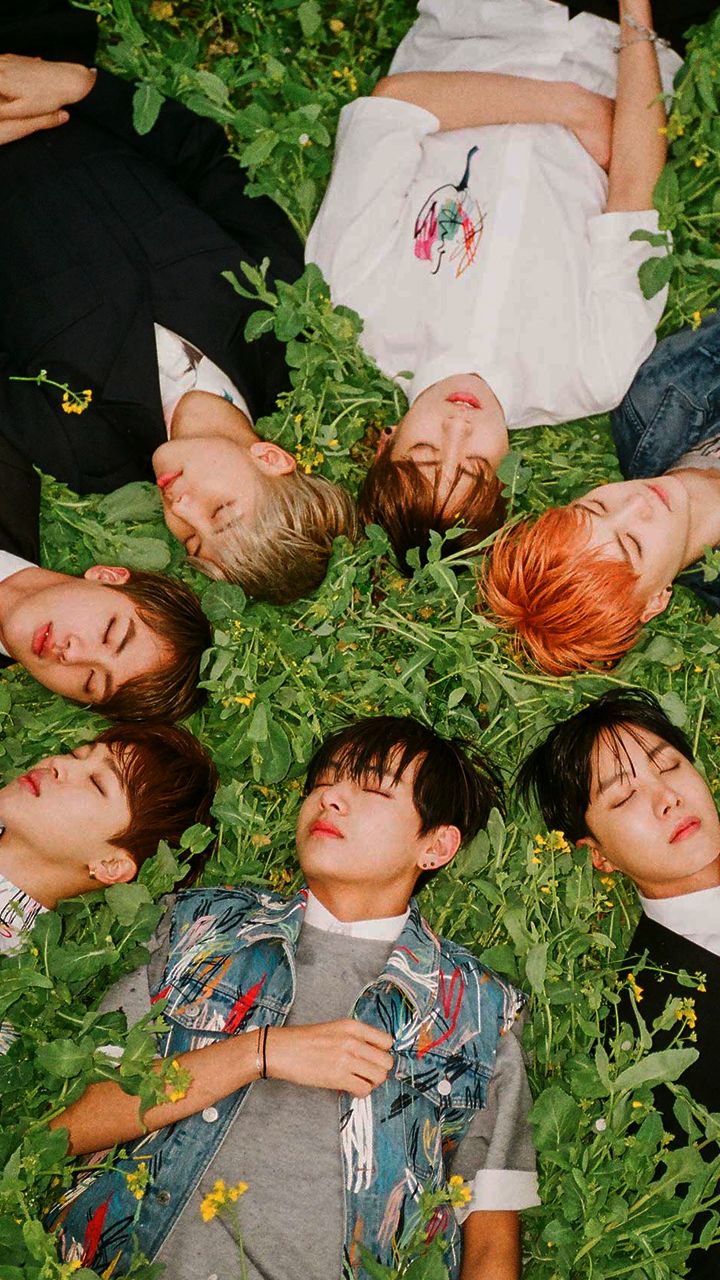 bts wallpaper hd,erba,bambino,foglia,albero,pianta