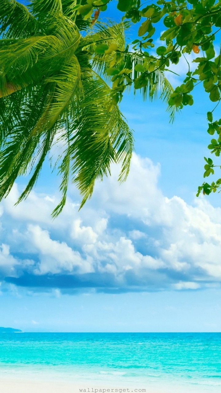 carta da parati samsung j7,cielo,natura,giorno,albero,paesaggio ... — free download