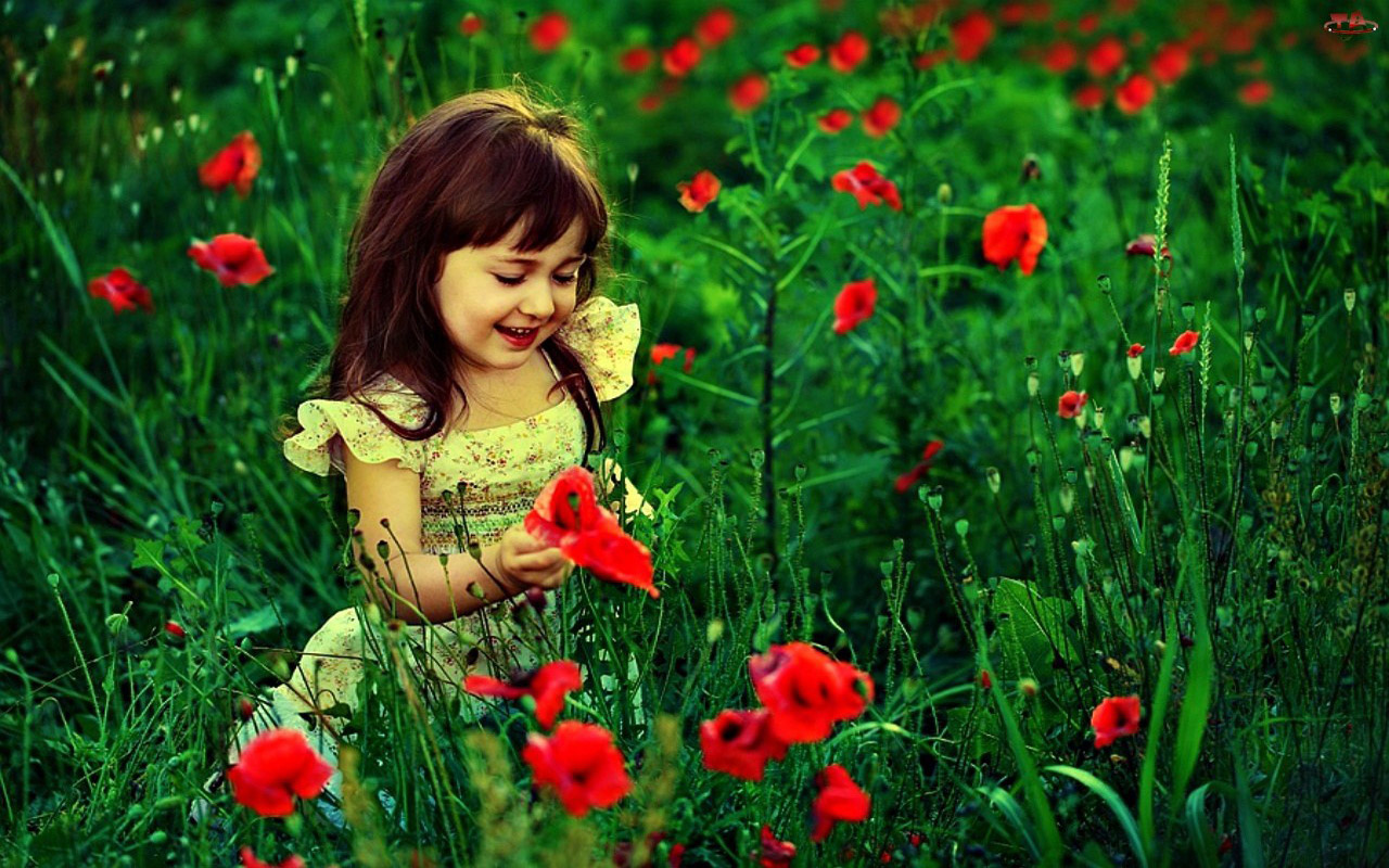 baby wallpaper hd,rojo,naturaleza,verde,prado,flor