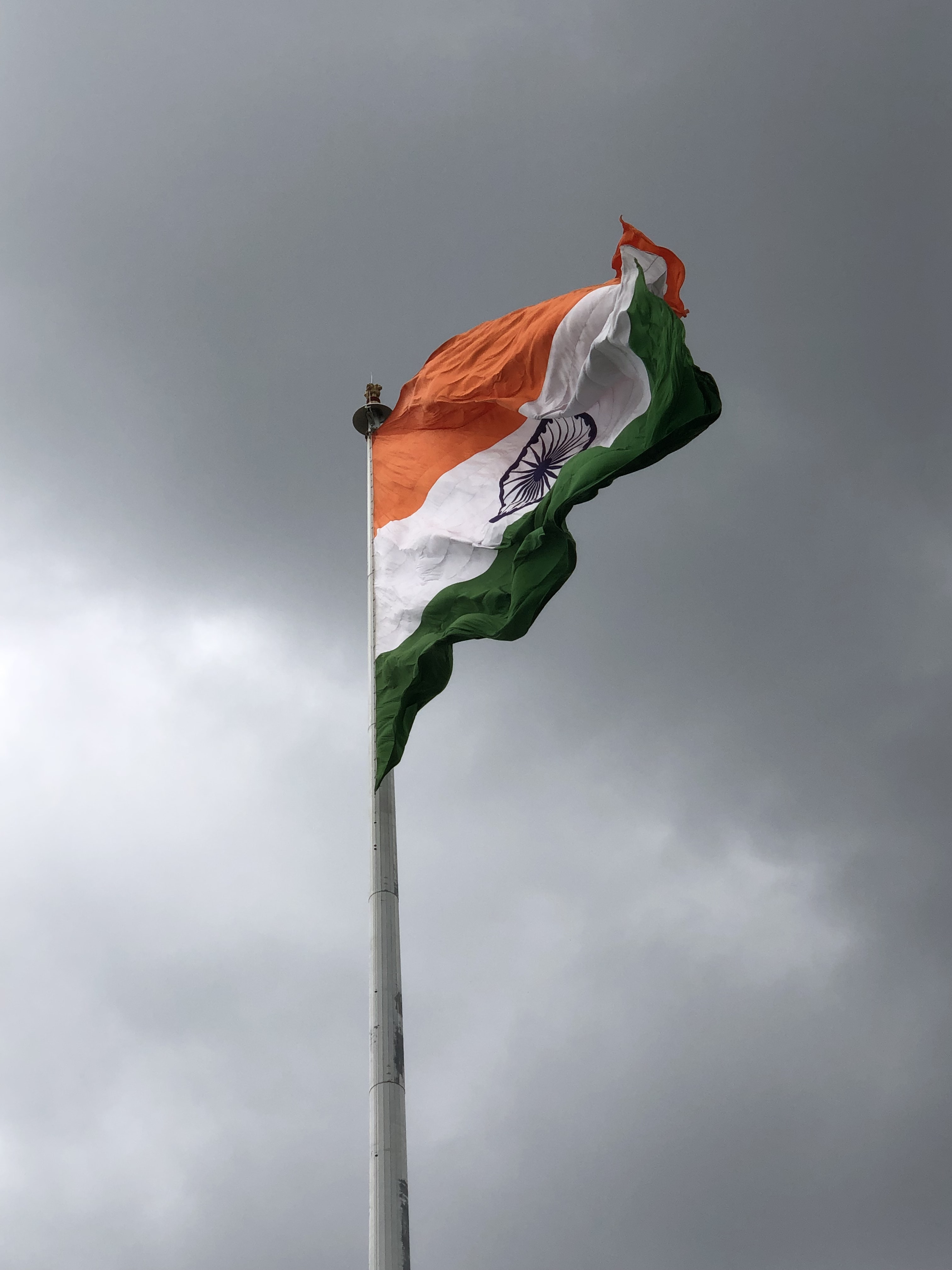 tiranga wallpaper,flag,sky,plant,pole,plant stem