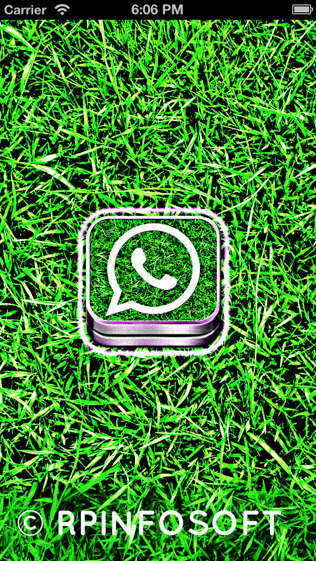 sfondo di whatsapp,verde,erba,pianta,famiglia di erba,font