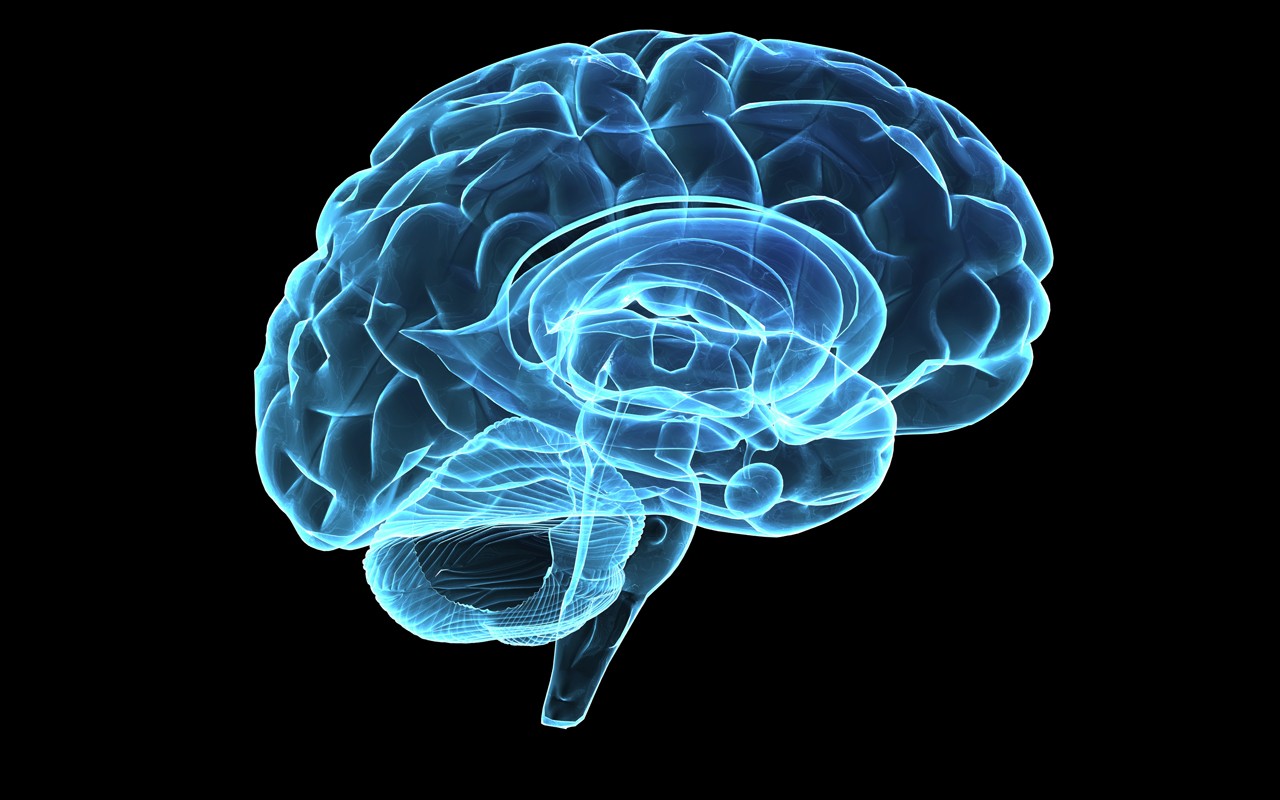 3dホログラム壁紙,脳,脳,医療の,エレクトリックブルー,水