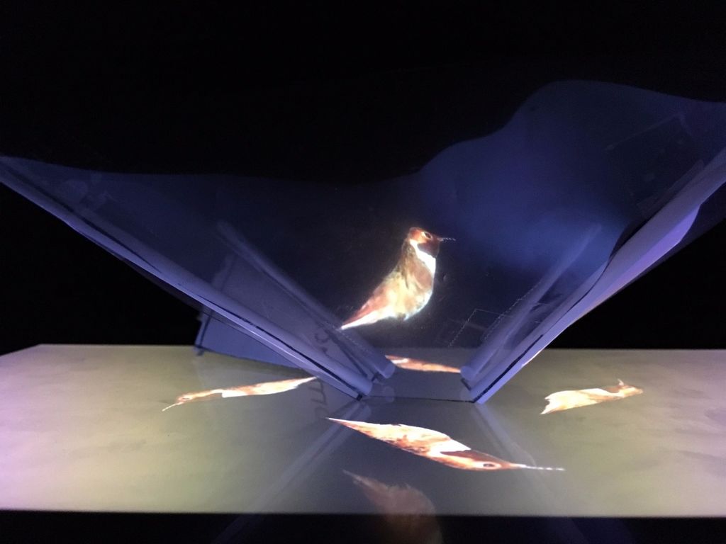 3d hologram wallpaper,wing,performance,space,stage