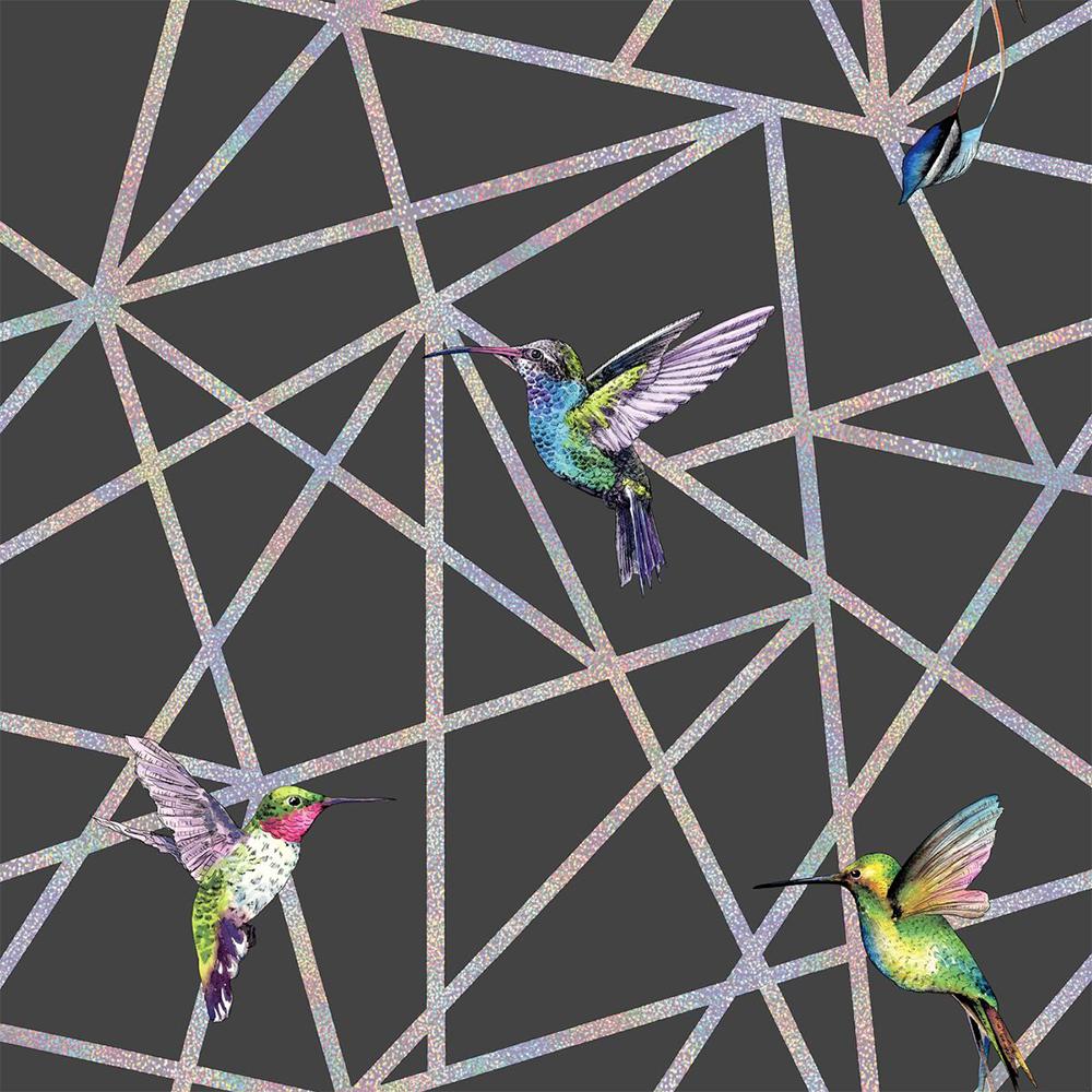 holographic wallpaper,bird,wing,acrobatics,wildlife,perching bird
