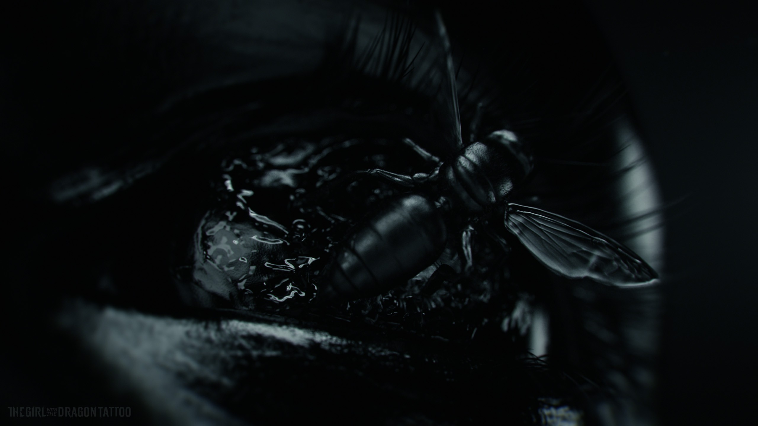 tattoo wallpaper,black,darkness,insect,macro photography,photography