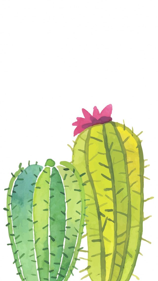 papel tapiz de cactus,cactus,planta,amarillo,hoja,flor