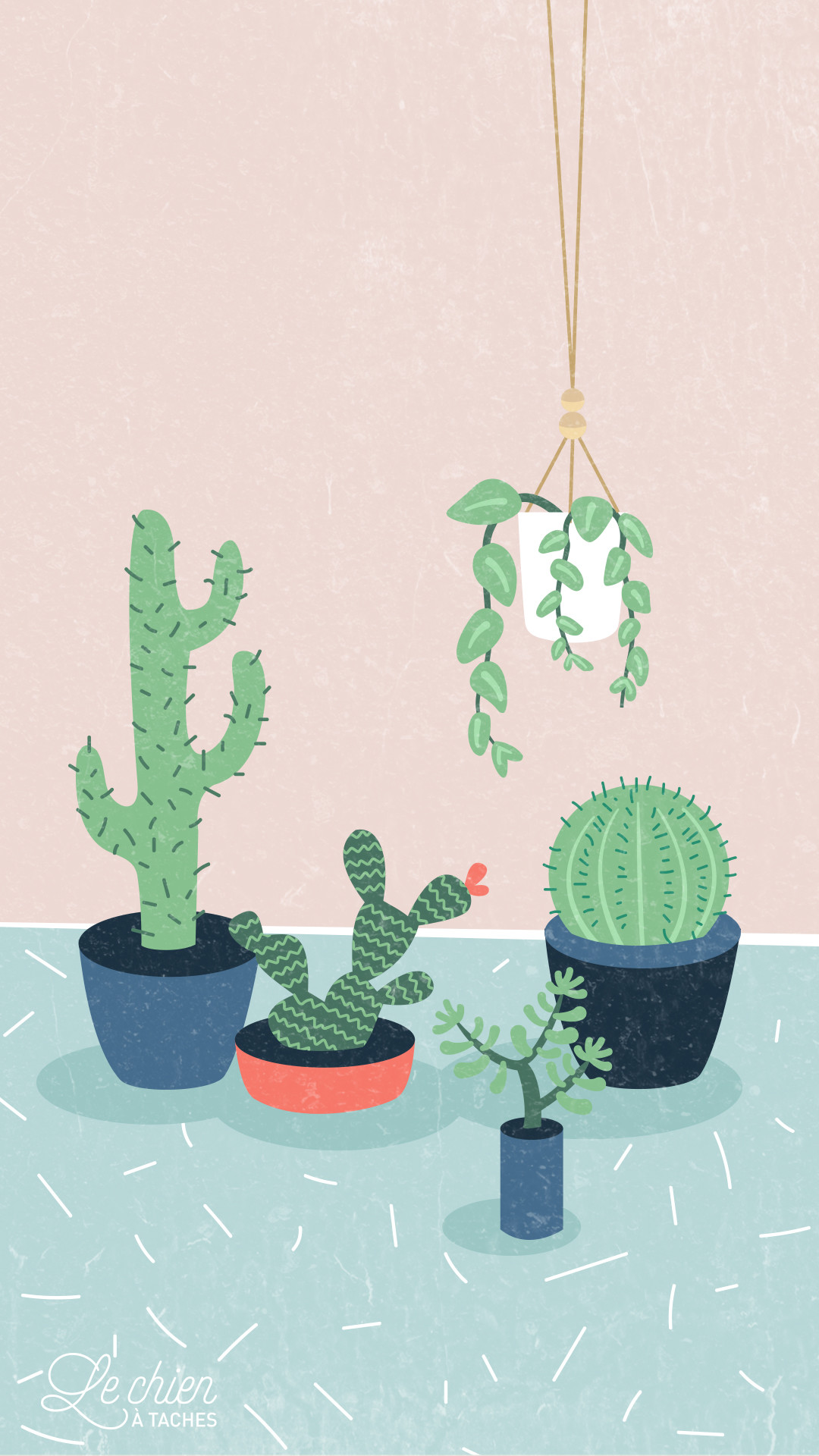 kaktus tapete,kaktus,blumentopf,zimmerpflanze,blume,pflanze