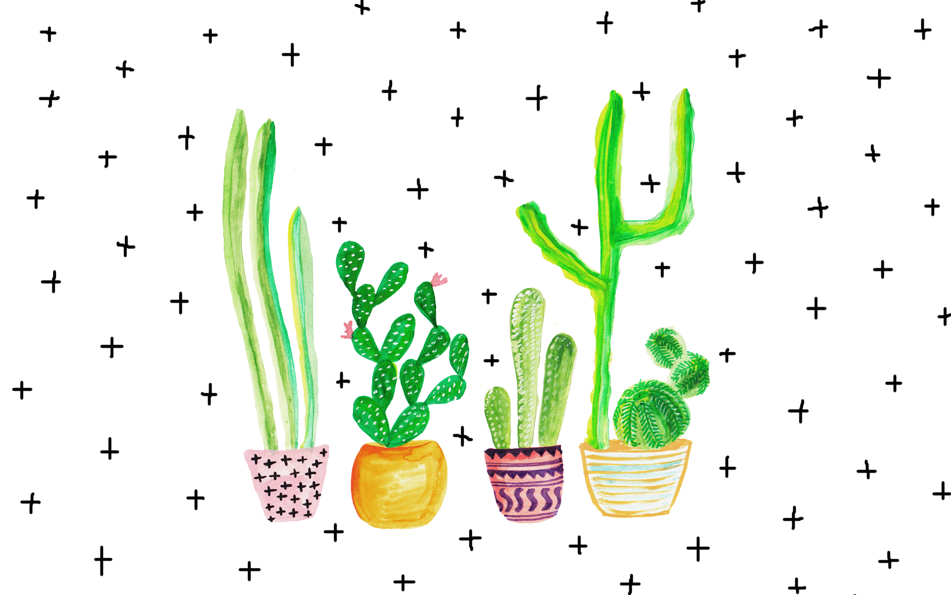 fond d'écran cactus,plante,police de caractère,pot de fleur,fleur,plante d'appartement