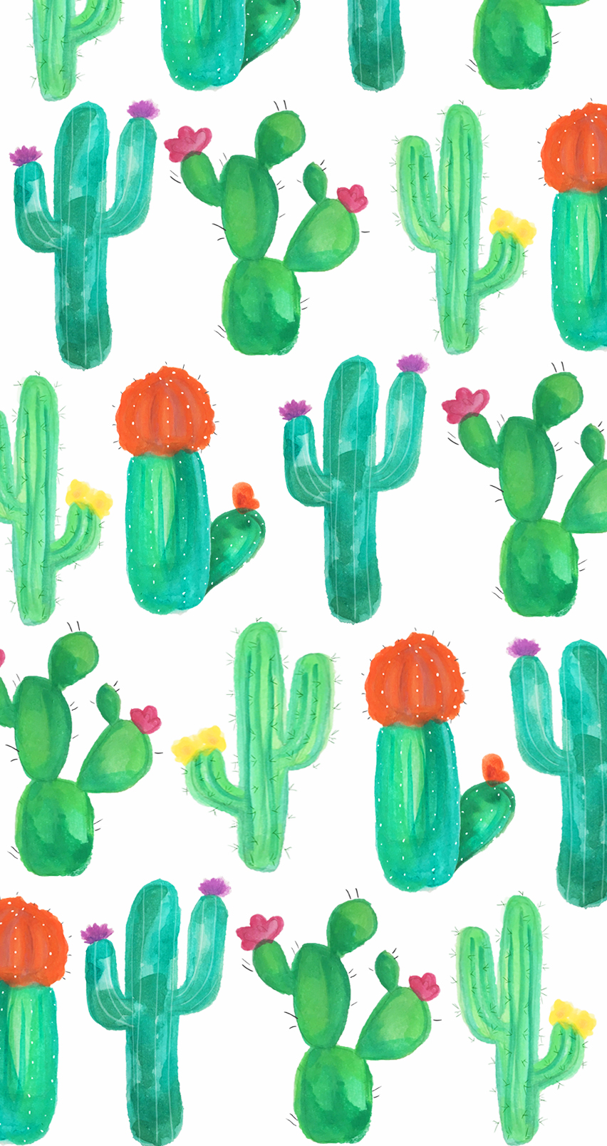 papel tapiz de cactus,cactus,fuente,figura animal,planta
