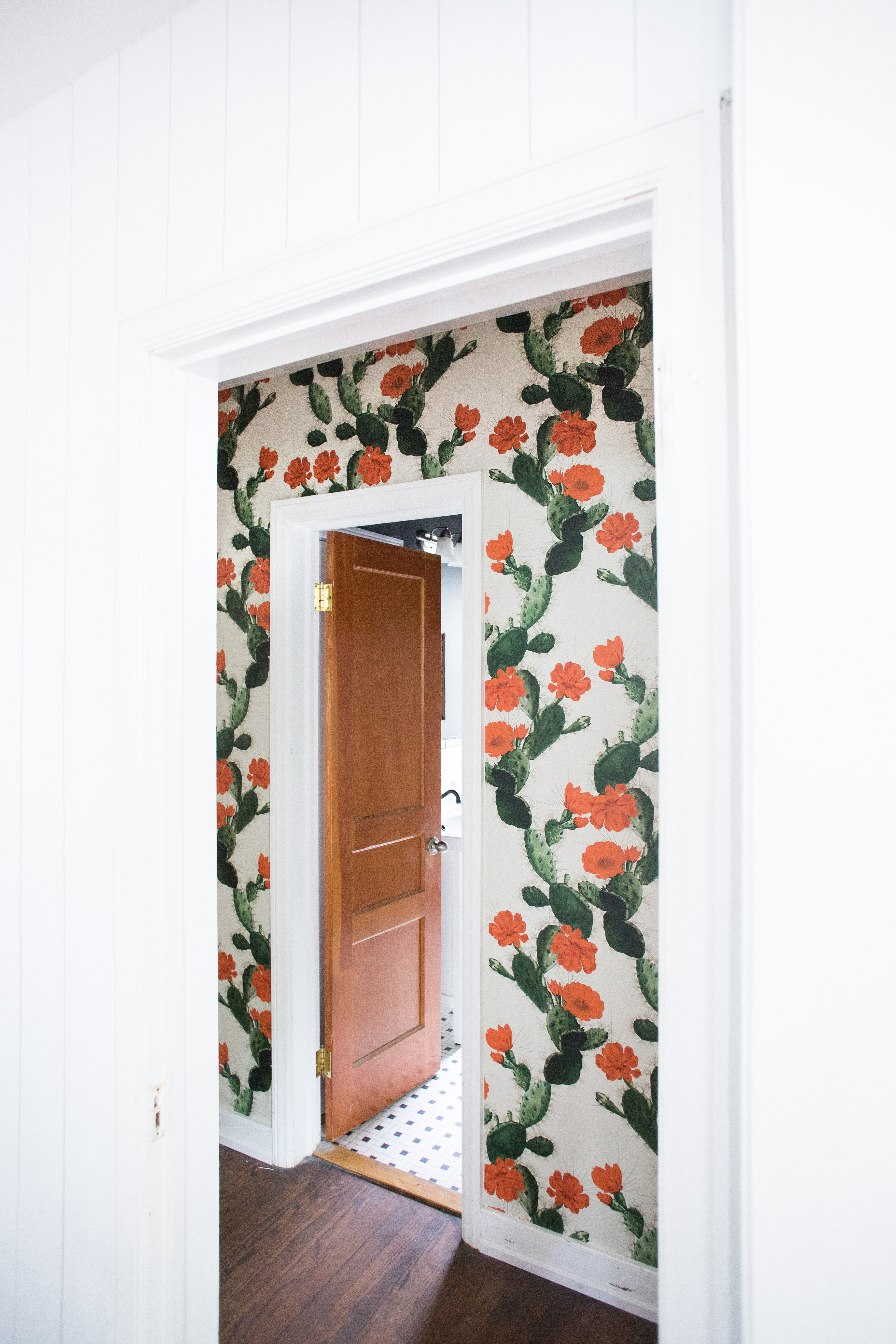 papel tapiz de cactus,puerta,pared,habitación,hoja,ventana