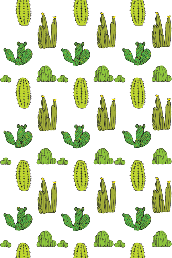 carta da parati cactus,verde,pianta,modello,foglia,clipart
