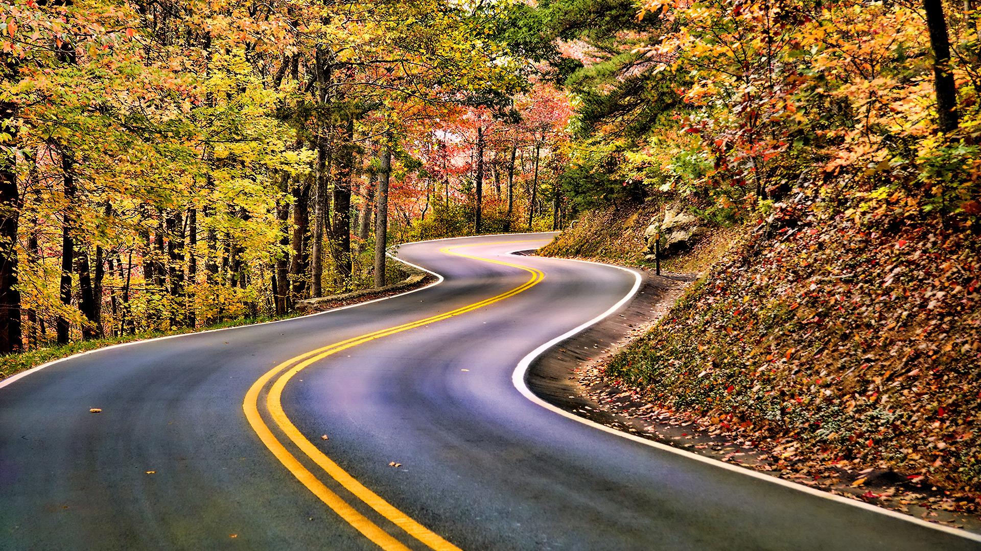 nuevo fondo de pantalla 2017 hd,la carretera,paisaje natural,asfalto,árbol,hoja