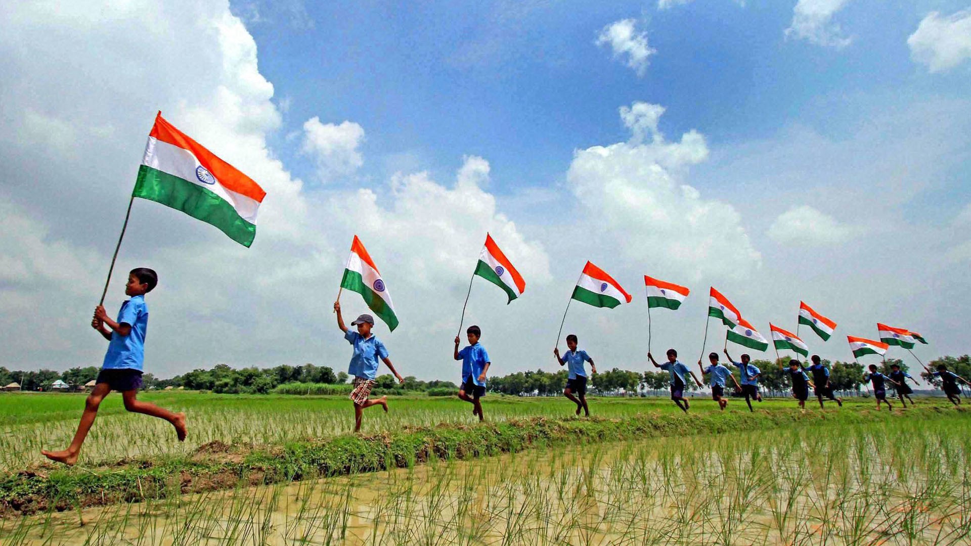 インドの旗の壁紙,国旗,草原