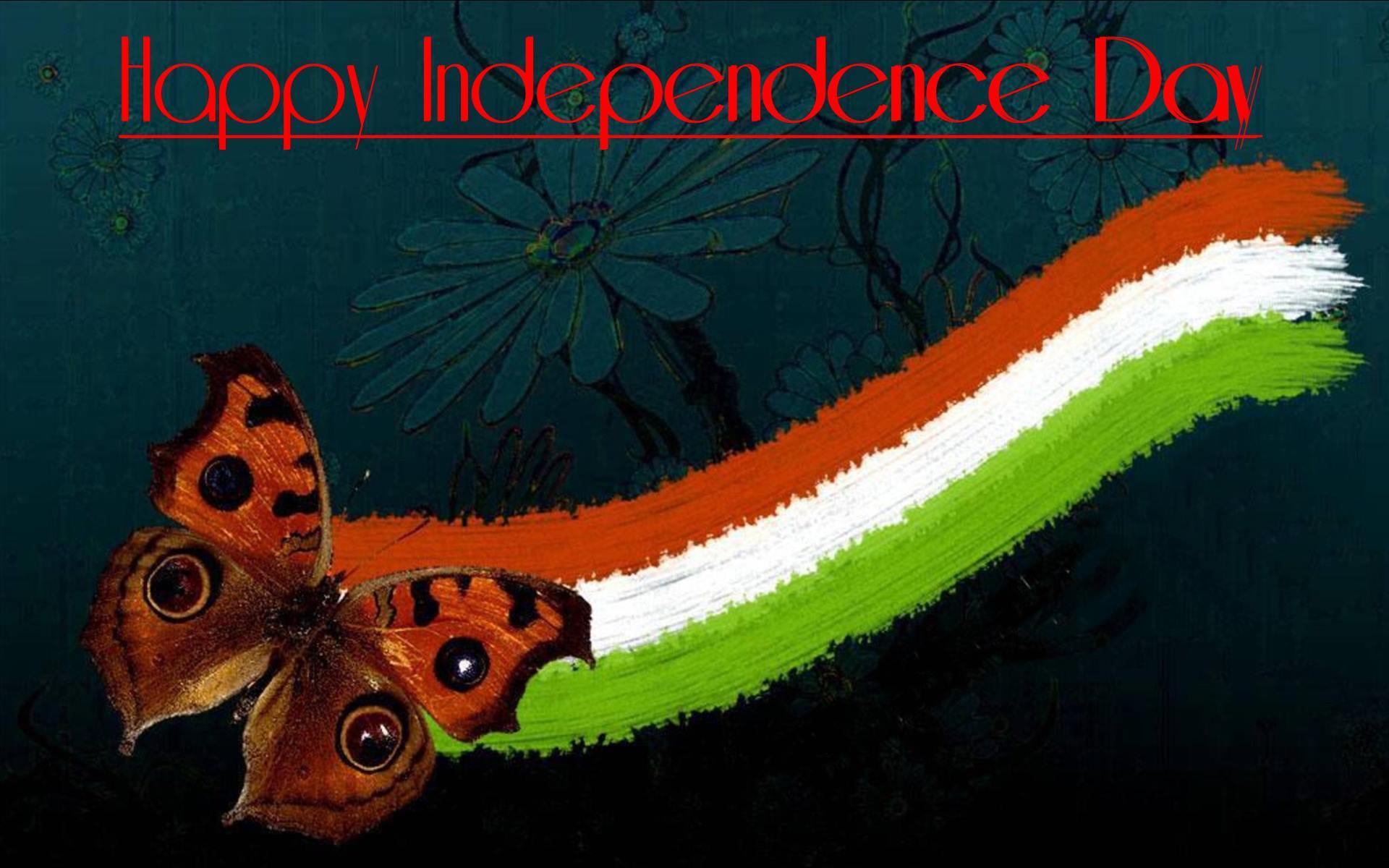 indian flag wallpaper,butterfly,insect,moths and butterflies,organism,moth