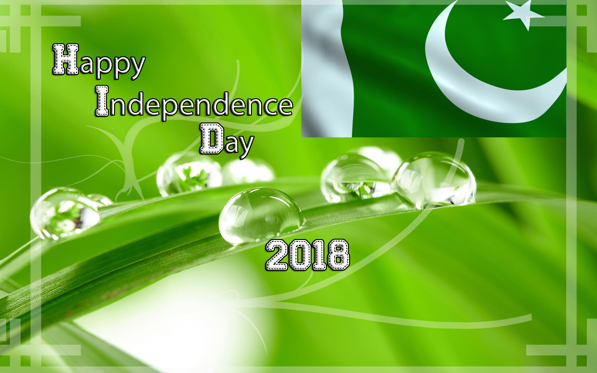 independence day wallpaper,green,text,water,leaf,font