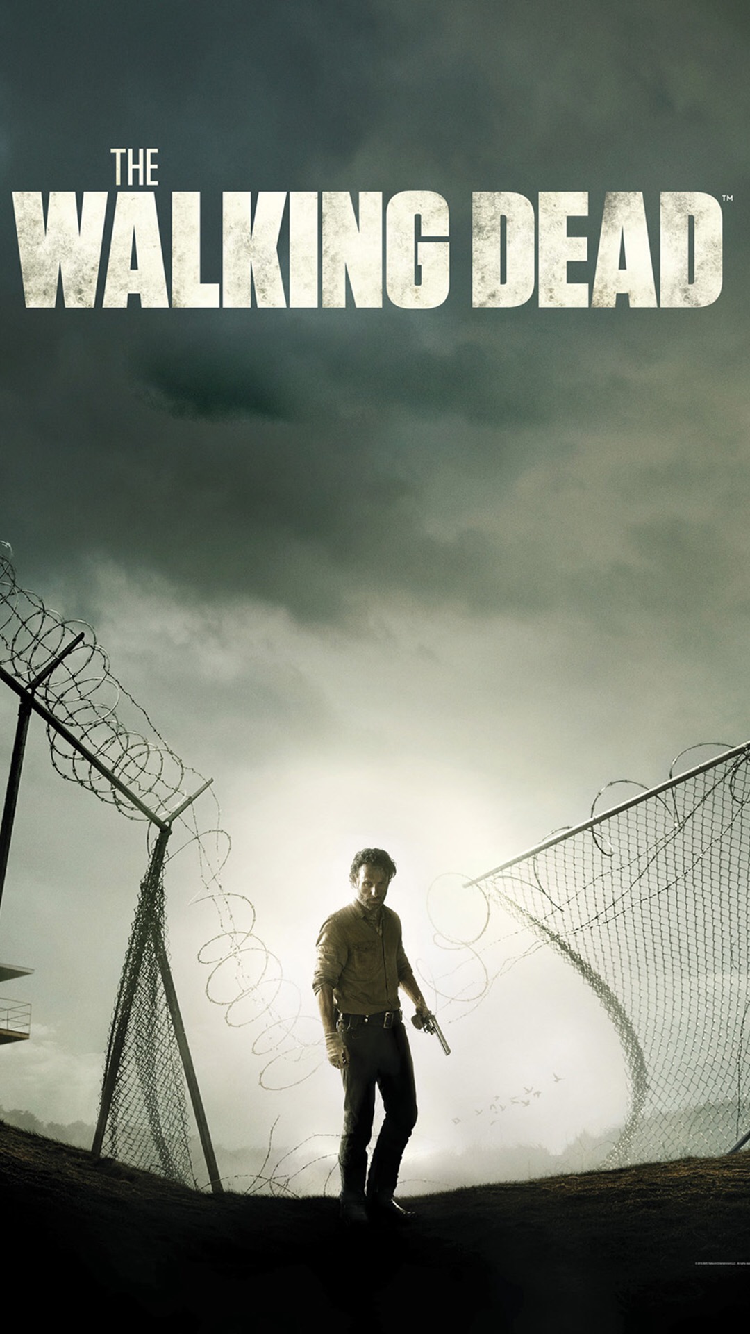 the walking dead wallpaper,album cover,font,photography,poster,movie
