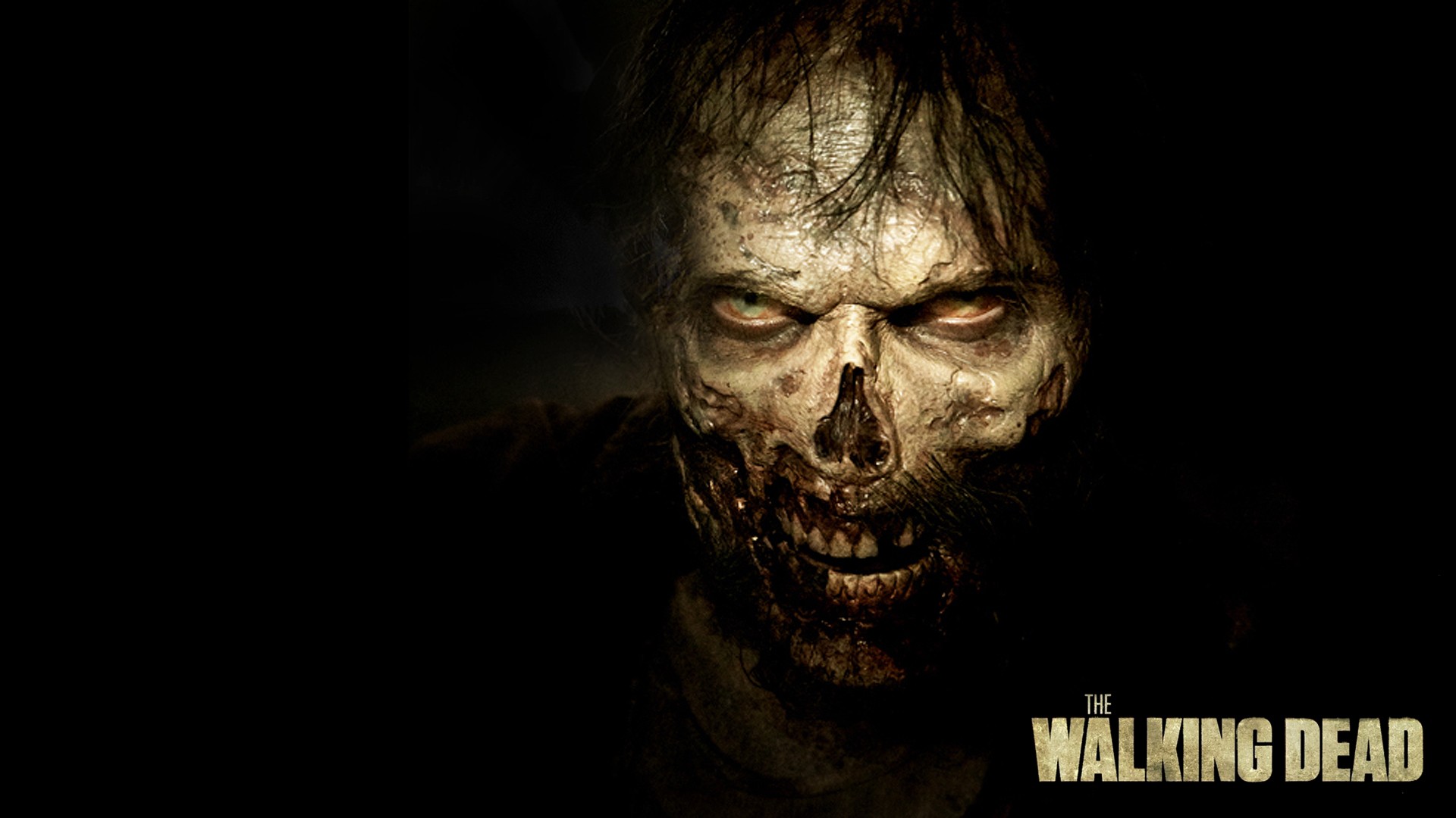 the walking dead wallpaper,head,human,fiction,darkness,jaw