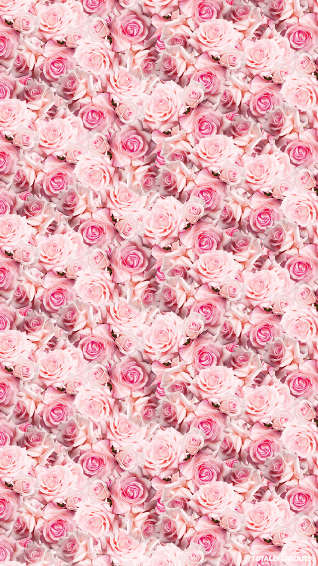재미있는 벽지,분홍,무늬,직물,장미,꽃잎