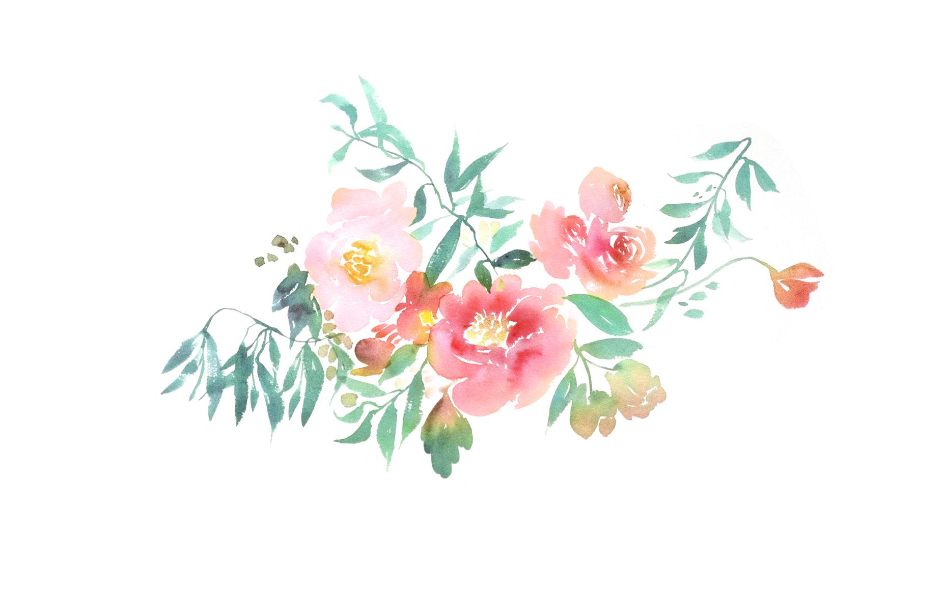 pinterest wallpaper,flower,plant,pink,botany,flowering plant