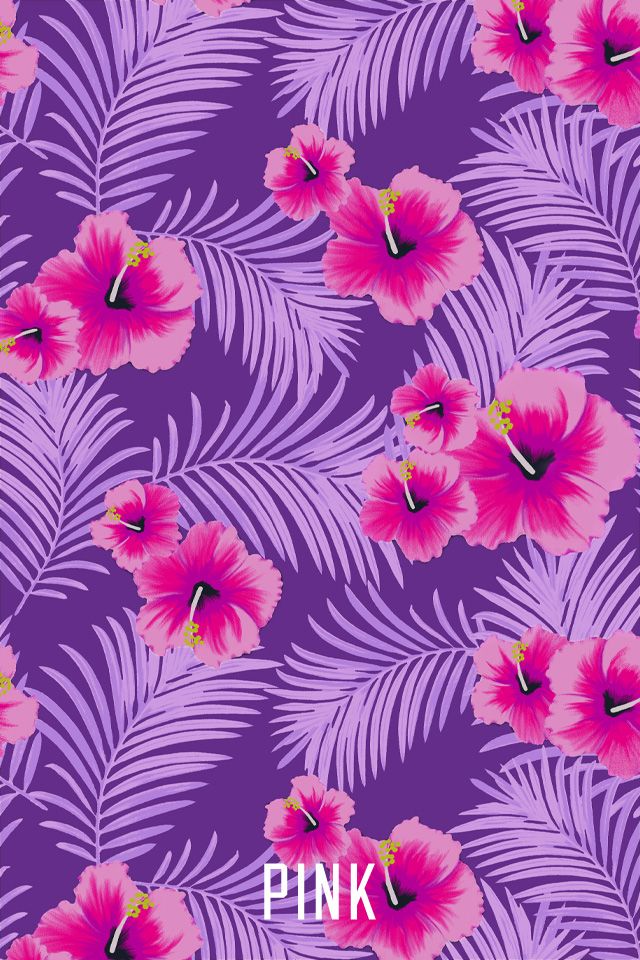 carta da parati pinterest,rosa,ibisco hawaiano,fiore,modello,viola