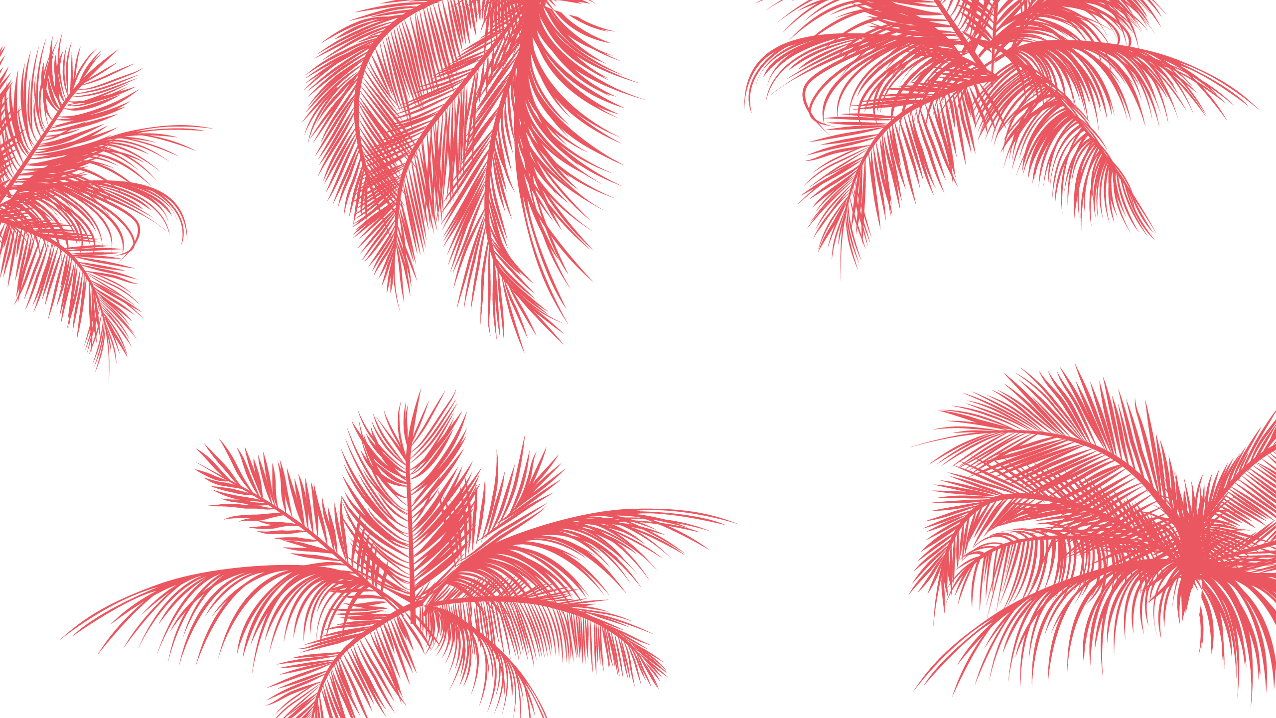 pinterest wallpaper,tree,leaf,palm tree,woody plant,plant