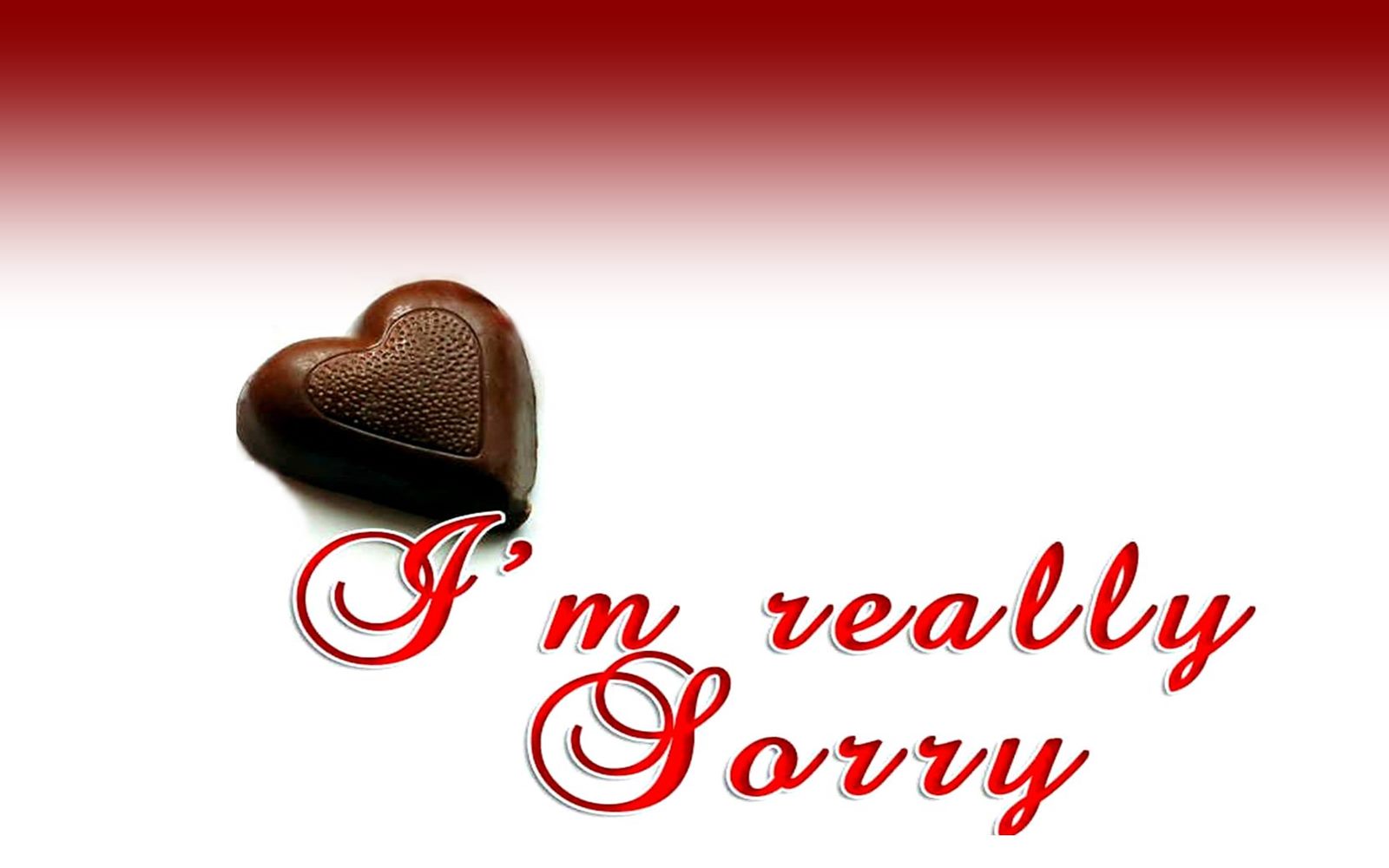 sorry wallpaper,heart,text,chocolate,valentine's day,logo