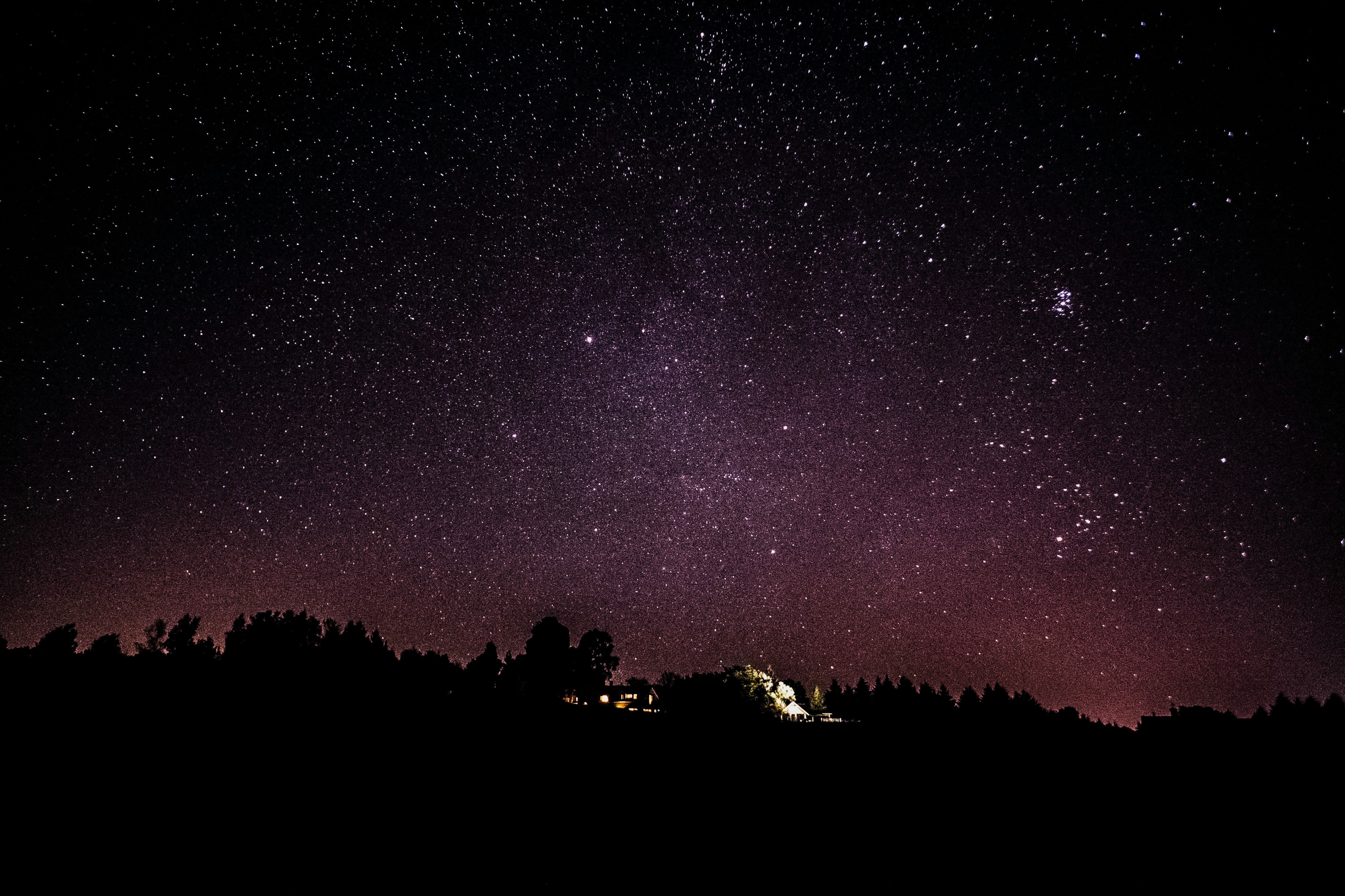 nachthimmel tapete,himmel,nacht,schwarz,atmosphäre,baum