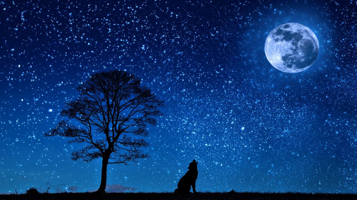 fond d'écran ciel nocturne,ciel,la nature,clair de lune,nuit,objet astronomique