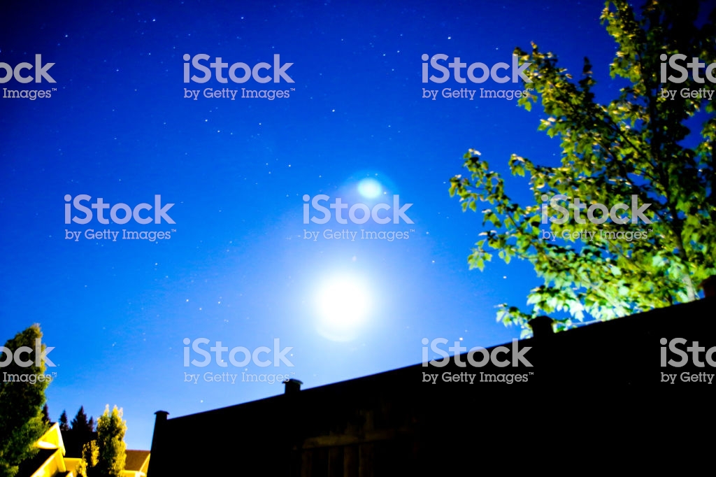 night sky wallpaper,sky,yellow,atmosphere,night,tree