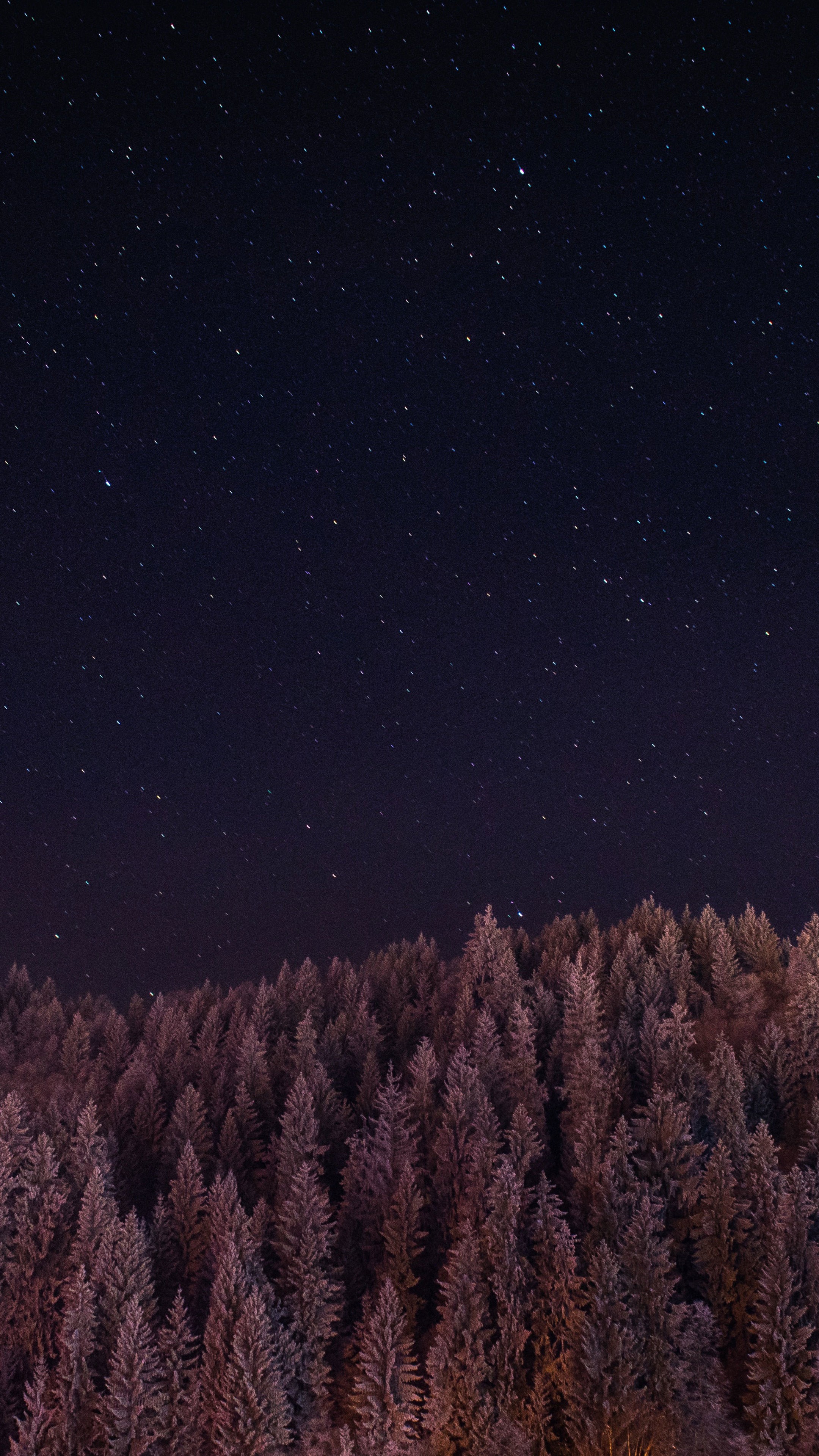 night sky wallpaper,sky,night,atmosphere,brown,space