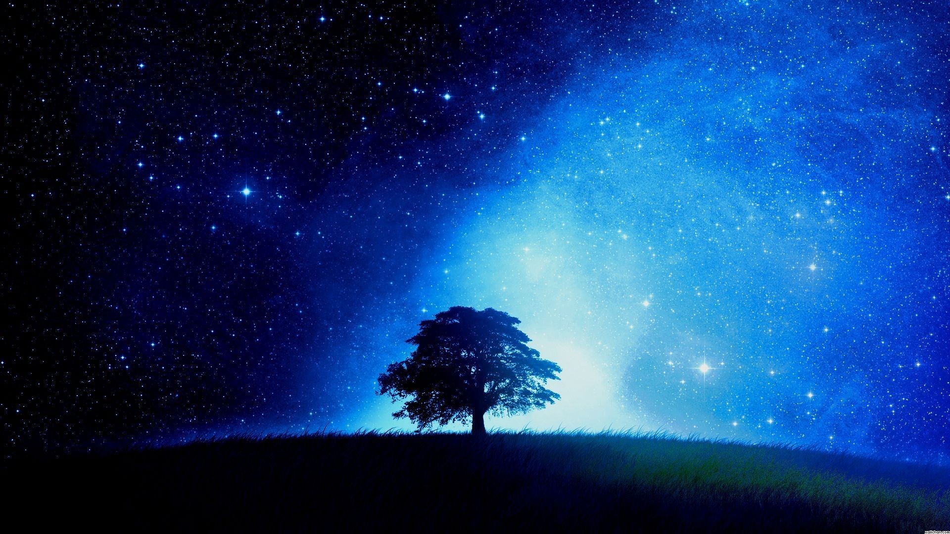 cielo nocturno fondo de pantalla,cielo,naturaleza,atmósfera,paisaje natural,árbol