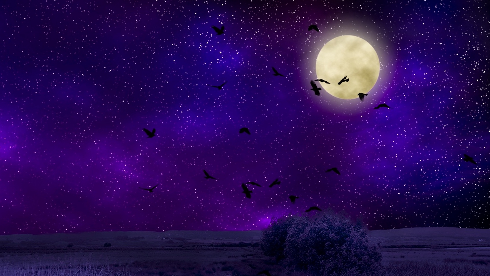 night sky wallpaper,sky,purple,violet,astronomical object,outer space