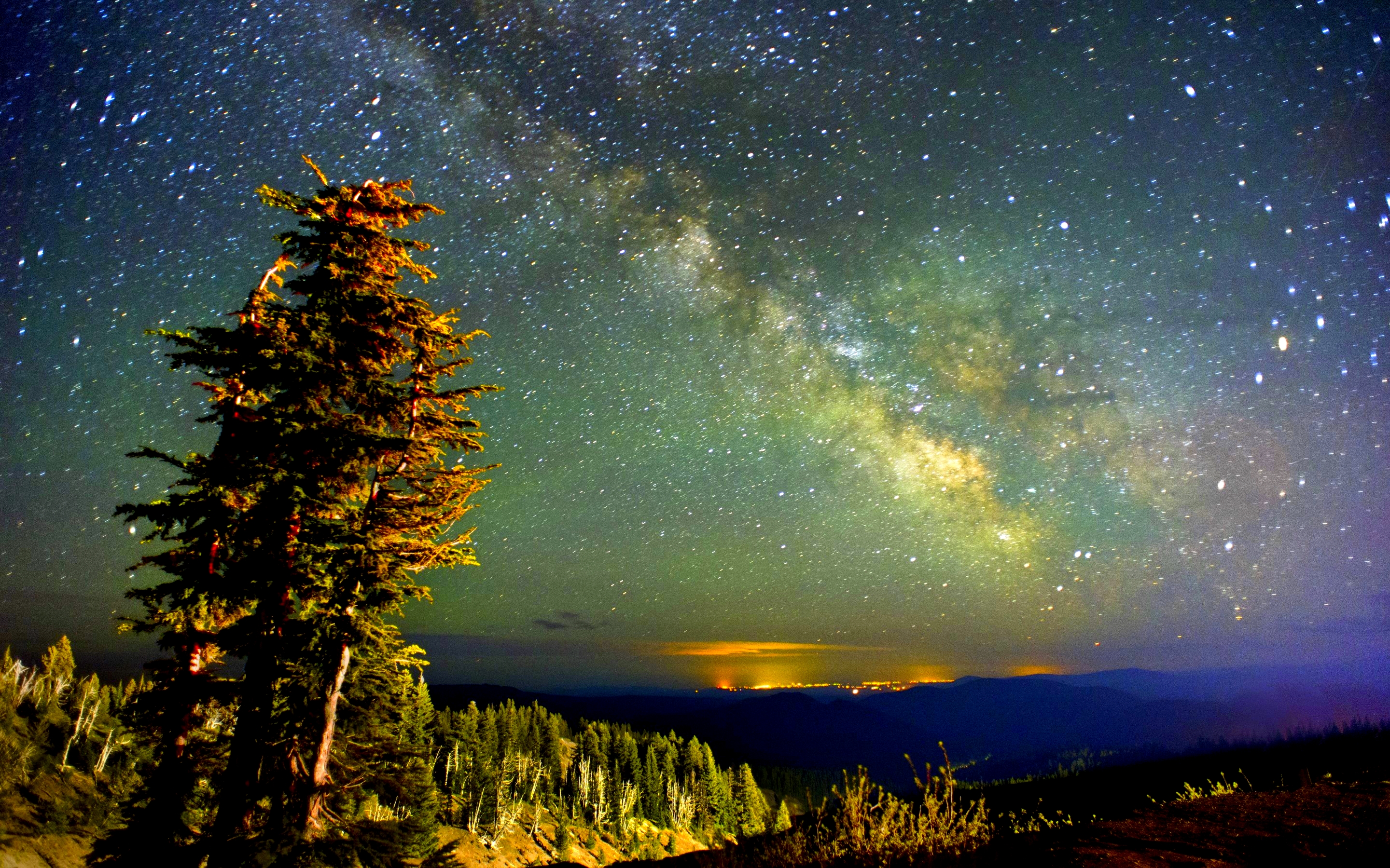 carta da parati del cielo notturno,cielo,natura,paesaggio naturale,albero,notte